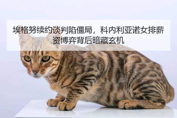 ai-ge-nu-xu-yue-tan-pan-xian-jiang-ju-ke-nei-li-ya-nuo-nv-pai-xin-zi-bo-yi-bei-hou-an-cang-xuan-ji-2-553.jpg